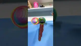 Bird Training:smart lovebird parrot l smart little cute parrot  #training#smartparrot#cute