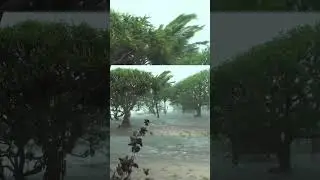 Extremely Higher Rainfall Near Yamuna River #yamuna #rain #heavyrain #shorts