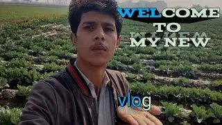 #5 welcome to my new vlog mehrabpur angry culture