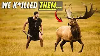 Irish Elk Extinction: What Really Killed the Irish Elk?