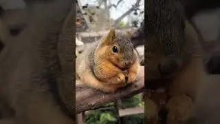 He&rsquo;s Too Fat