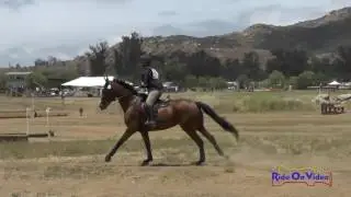 032XC Tayler Ravenscroft on Shadow Boxer Young Rider Training Cross Country Copper Meadows June 2017