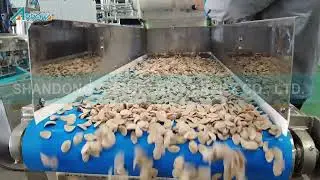 breakfast cereal production line (Coco Crunch)