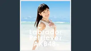 ハートの脱出ゲーム (峯岸Team 4)