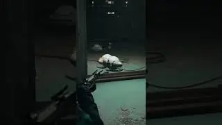 Как бороться с популяциями в Arc Raiders