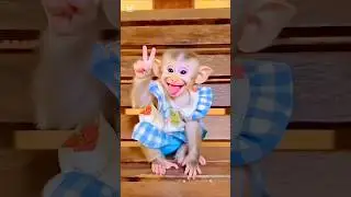 One or Two banana🍌😆😂👈 Tom and Jerry #shorts #trending #viralvideo #tom #jerry #funny #comedy #video