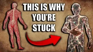 Why Nervous System Regulation is the Missing Link in Manifestation