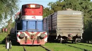Tren Cargado de NCA pasando por Villa Maria Gravitacion rumbo hacia Rosario