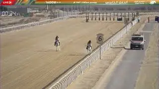 موسم سباقات 1447هـ الحفل الخامس الشوط الاول