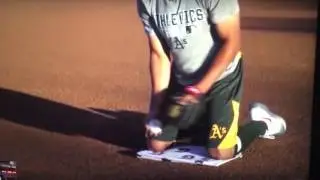 Marcus Semien   INF EVERYDAY