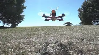 Alien RR5 Days Like These Are For Flying