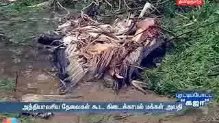 cyclone kaja|damage | report|whatsapp viral