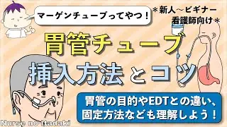 【胃管のアレコレ10分解説！】胃管の基礎知識や目的､挿入方法やコツ､EDチューブとの違いなど､あれこれ解説！