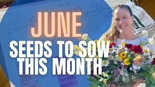 WHAT SEEDS TO SOW IN JUNE 🌱🌱🌱 || When To Sow Seeds In The Summer || Cut Flower Garden Seeds