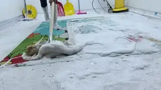 Satisfying carpet cleaning with a new method! Professional asmr stain removal method