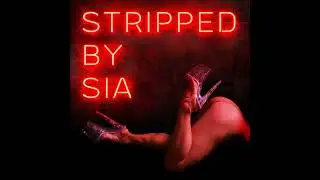 (2021) The War on Pornography: Fear Mongering, Sex Education and the Role of Schools and Parentin...