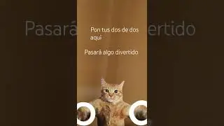 pontis dedos hay