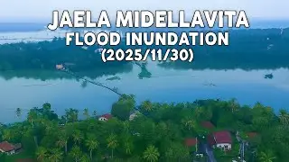 Наводнение в Джаэле Миделлавита, 30 ноября 2025 г. 🌧️🌊🚨 #Наводнение2025 #ПогодаШриЛанка #Сильное ...