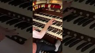 Please release me let me go plate on an organ ￼