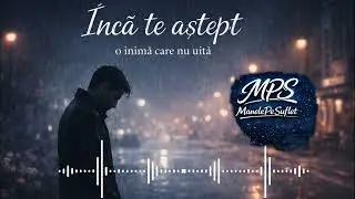 Încă te aștept!Manele Pe Suflet#manele #manelenoi #maneletop