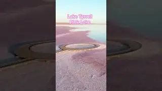 💗 Lake Tyrrell Pink Lake Victoria #pinklake #laketyrrell #sealake #victoria #explorevictoria