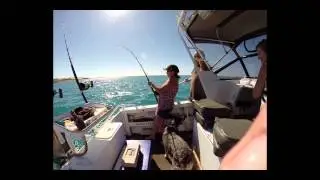 King Ash Bay
