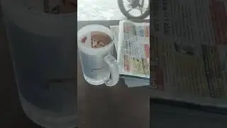 beer mug printing
