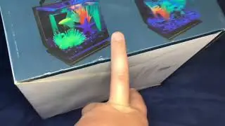 Showing glofish tank and accessories