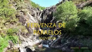 FERVENZA DE PARRELOS (Covelo)