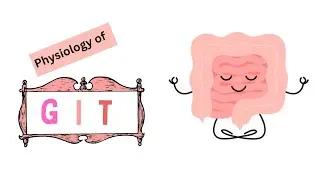 Small intestine absorption part 1 |GIT PHYSIOLOGY 