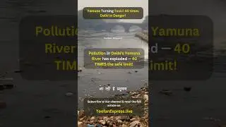 Delhi Yamuna #headlines #news #latestnews #yamuna #india #problem #delhi #pollution #shorts #viral