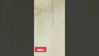 Electric guru