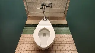 1990s American Standard Madera toilet