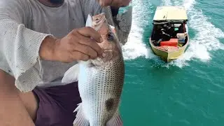 Short fishing trip | Jambangan Island | Pitas Sabah