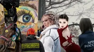 ~•Реакция ДЗЛ на хобби Лены•~