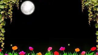 Nature Template Video Background / Background Video Effects hd / Black Screen Effects /Flower Effect