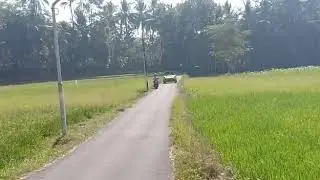 VW Safari Tour