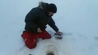 20160312 084331