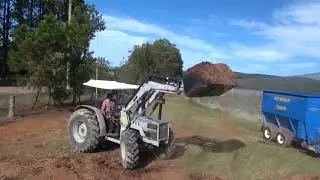 Growing blueberries using recycled organics
