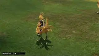 Unlocking the Chocobo
