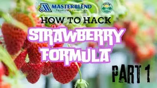 How to hack Masterblend Strawberry Formula Part 1 - Soluci&oacute;n Nutritiva para  Fresa #hydroponics