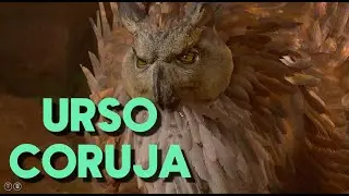 Baldur's Gate 3 - Kagui 05 - Urso Coruja