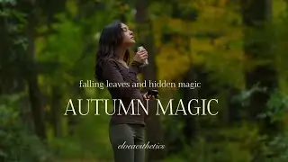 into the enchanted autumn forest