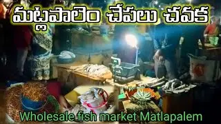 Matlapalem fish market, matlapalem dry fish market, matlapalem fish market latest video