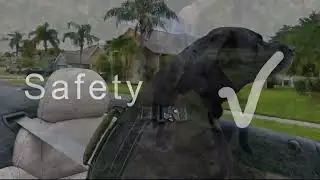 ICOE Smart Harness - High Tech Comfort and Safety