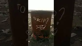 Наши таланты #shorts #trending #youtube #video #райчихинск #shortvideo #short #top #music #tiktok