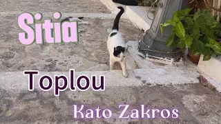 Jednodniowa Wycieczka po Sitia, Tolopu i Kato Zakros- Kreta wschodnia