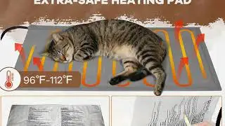 100% Insulated! Keep Stray Cats Safe & Warm with This Outdoor Heated Cat House