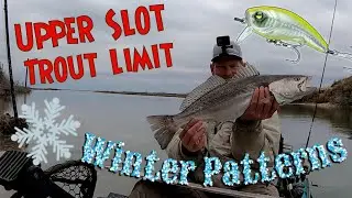 Winter Patterns Upper Slot Speckled Trout Limit Kayak Fishing South Texas