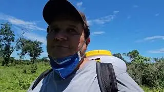 Usando novamente o Atomizador Costal Vonder. Novos testes